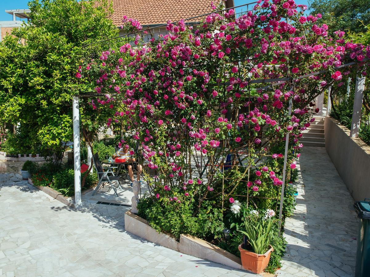 Apartmán Azure Adriatic Kotor Exteriér fotografie