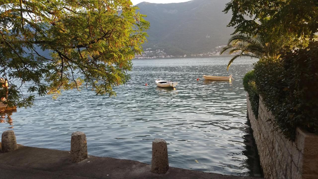Apartmán Azure Adriatic Kotor Exteriér fotografie